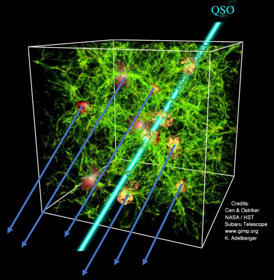 WFOS Science Case - IGM and CGM Tomography