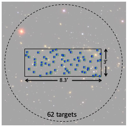 WFOS on-axis Field of View