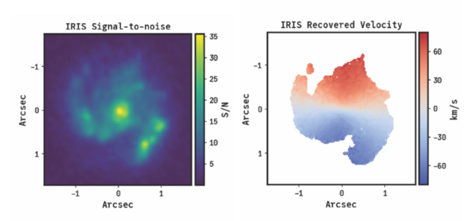 IRIS simulated data