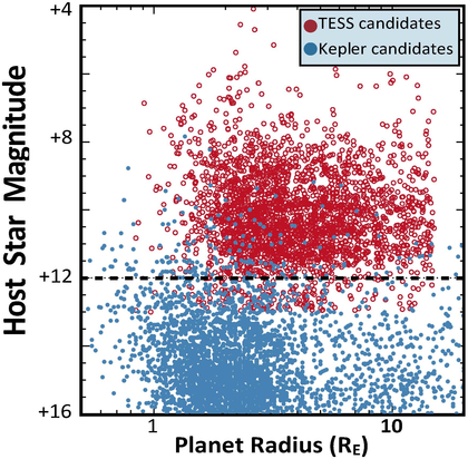Planet yields from TESS